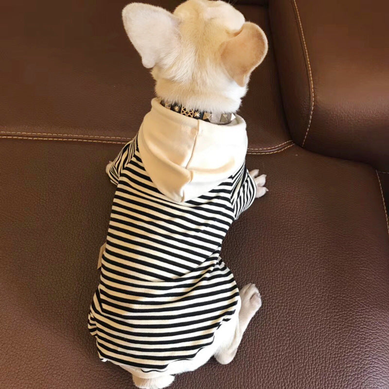Terry Sweater for Small Pets: Fashion Meets Comfort